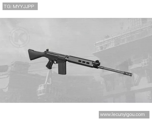 暗区突围EVOLYS枪械全面解析及其战术应用技巧分享 暗区突围EVOLYS枪械全面解析及其战术应用技巧分享